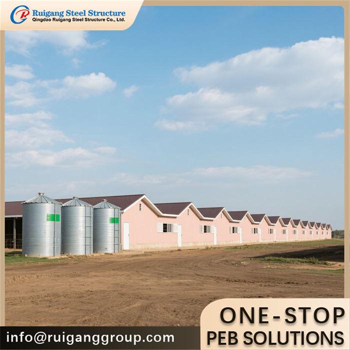Chicken House For Broilers
